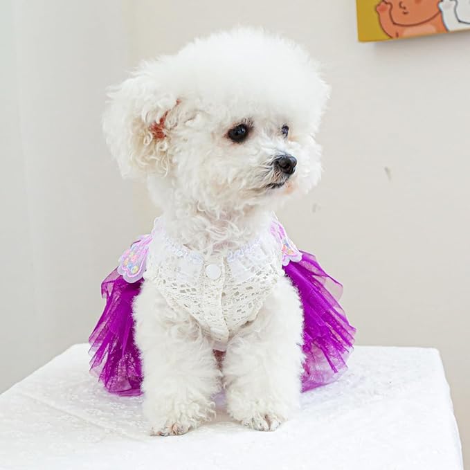 Dog Fairy Costume with Butterfly Wings, Cat Princess Dress for Small Dogs Girls, White Lace Knit Top and Purple Tulle Skirt, Fairy Wings for Dogs Halloween Outfit 4.4-6.6lbs (Purple,S)