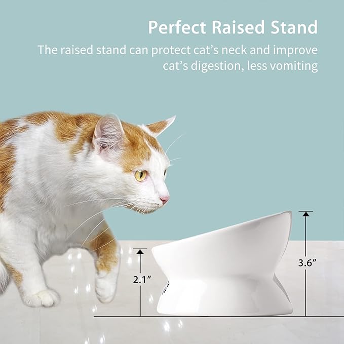 Cat Food Bowls, 10 OZ Elevated Cat Bowls for Cats and Small Dogs, Tilted Pet Feeder Bowl with Raised Stand Protect Cat's Spine, Ceramic Cat Water Bowl No-Spill, Stress Free Cat Dish 1pcs