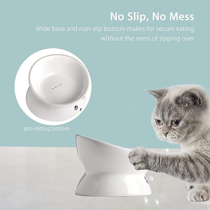 Cat Food Bowls, 10 OZ Elevated Cat Bowls for Cats and Small Dogs, Tilted Pet Feeder Bowl with Raised Stand Protect Cat's Spine, Ceramic Cat Water Bowl No-Spill, Stress Free Cat Dish 2pcs