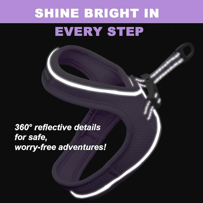 Cat Harness and Leash Set,Escape Proof Kitten Harness,Step in Adjustable Soft Lightweight,Easy Control,Reflective Strips Comfortable for Walking Travel(Violet Purple,XS)