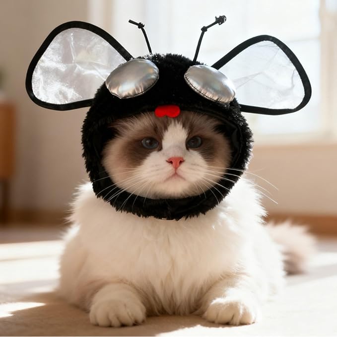 Funny Fly Cat Hats, Soft Cute Kitten Puppy Headwear Costume Accessories, Halloween Christmas Holiday Birthday Party Clothes Decoration Cap for Cats, Black, 1 Piece