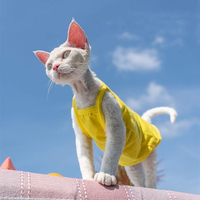 Hairless Cats Solid Cotton Camisole, Breathable Summer Tank Tops for Sphynx, Cornish Rex, Devon Rex, Peterbald, Cat Wear Hairless Cat Clothes Soft Skin-Friendly Cats Apparel Assorted Colors and Sizes