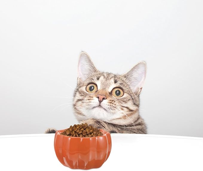 Ceramic Raised Pumpkin Shaped Pet Food Bowl with Elevated Design for Cats and Dogs, Orange Dual Bowls for Feeding and Watering, Neck Protection Pet Feeder Suitable for Travel