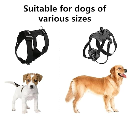 Adjustable Dog Harness Camera Dogs 8-35kg | Capture Perspectives While Playing