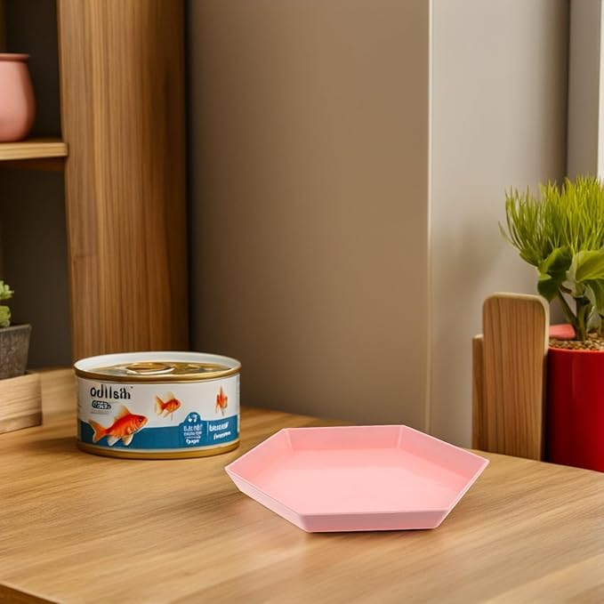 BESPORTBLE Cat Bowls Set 10pcs Shallow Round Pet Food Plates with Wide Feeding Surface, Whisker Friendly Small Cat Dishes for Indoor Kitten Feeding and Watering