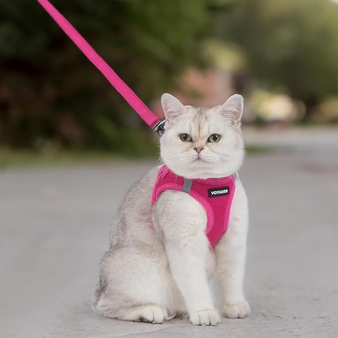 Voyager Step-in Pet Harness - All Weather Mesh, Adjustable Step in Harness for Cats and Dogs by Best Pet Supplies - 307S Fuchsia, S