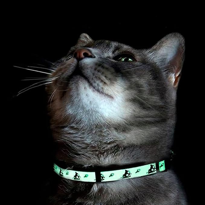 Pawtitas Glow in the Dark Cat Collar with Breakaway Safety Buckle & Bell Adjustable Kitten Collar, Blue