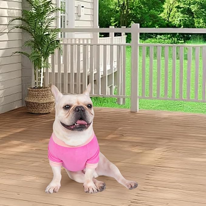 Classic Fleece Dog Sweater – Soft & Warm Stretchy Sweatshirt for Small Dogs & Cats, Cold-Weather Pullover for Everyday Wear (Dark Pink, Large/X-Large)