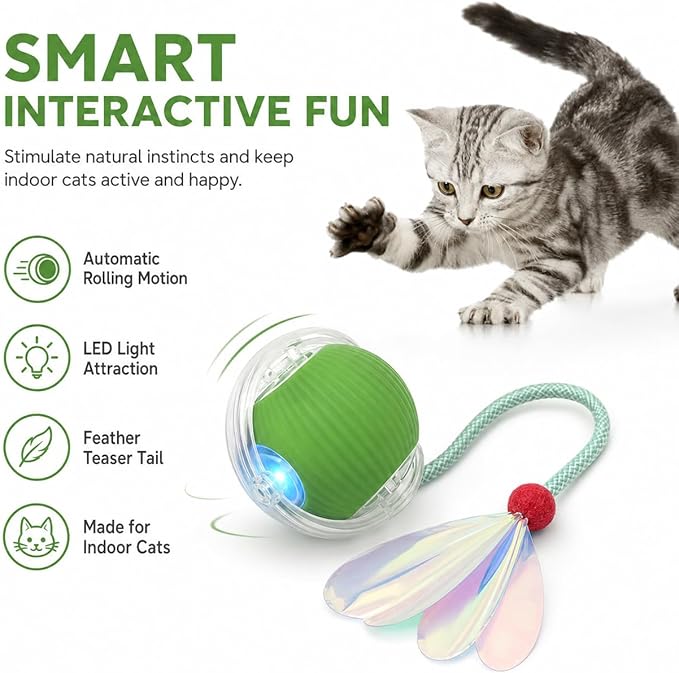 Interactive Cat Toy Ball with LED Lights – USB-C Rechargeable Automatic Cat Toy with Feather Tail for Indoor Cats & Kittens, Upgraded Version