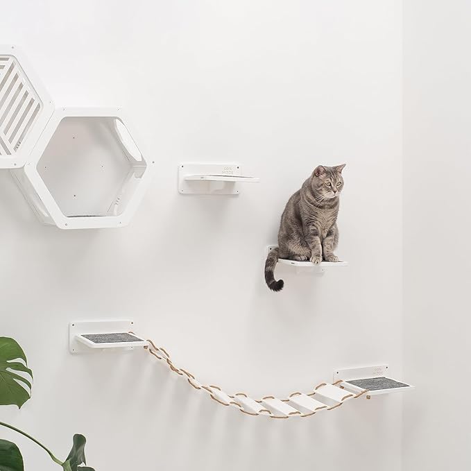 Wall Cat Shelves Wood Shelves Furniture - Wooden Shelf Wall Mounted Furniture - Indoor Cats Rustic Decor Lover Gift (Cat Wall Bed)
