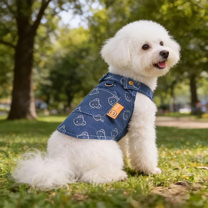 Walking-Ready Pet Jeans - Breathable Denim with D-Ring & Snap Buttons | Matching Bear Outfits for Dog & Cat Couples | Machine Washable (S-XL) (Small, Jacket with Bear)