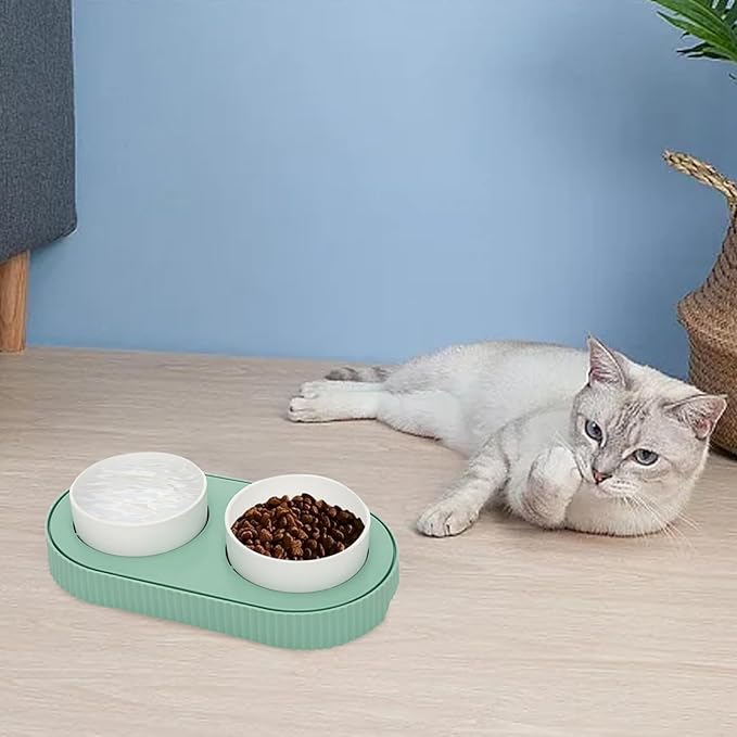 Heated Cat Bowl,Thermostatic Raised Cat Bowl, Double Cat Food Bowls, USB Heated Dog Bowl Ceramic Cat Water Bowl for Feral Cat Feeding Station Provide Non Freezing Water in Winter