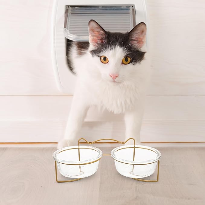 GALPADA Elevated Double Pet Feeder Set with Ceramic Bowls and White Metal Stand, Inclined Raised Cat and Dog Food Bowls for Indoor Feeding and Watering