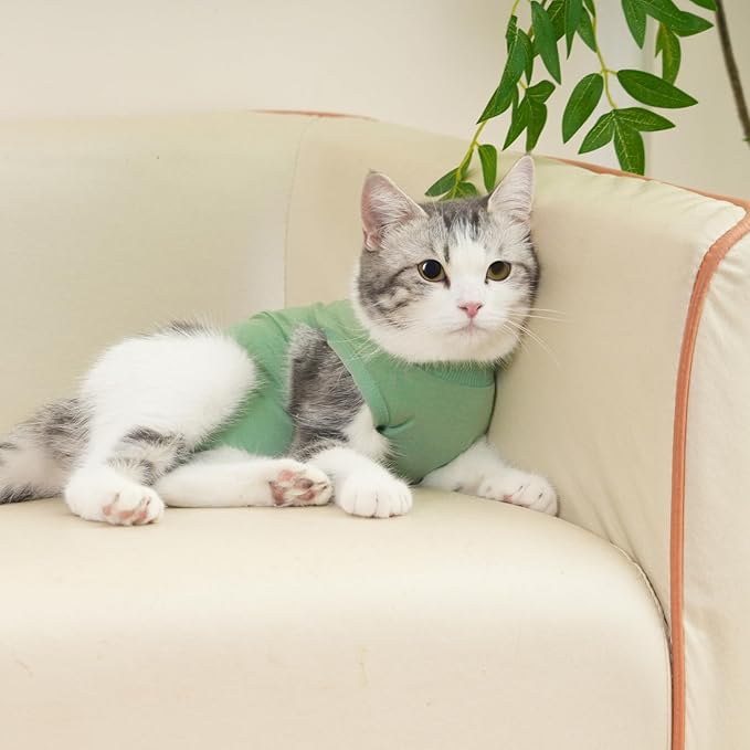 kzrfojy Cat Recovery Suit Cat Onesie for Cats After Surgery Female Male Spay Kitten Neuter Surgical Bodysuit Post Surgery Cone of Shame Alternative Anti Licking (Green, Small)