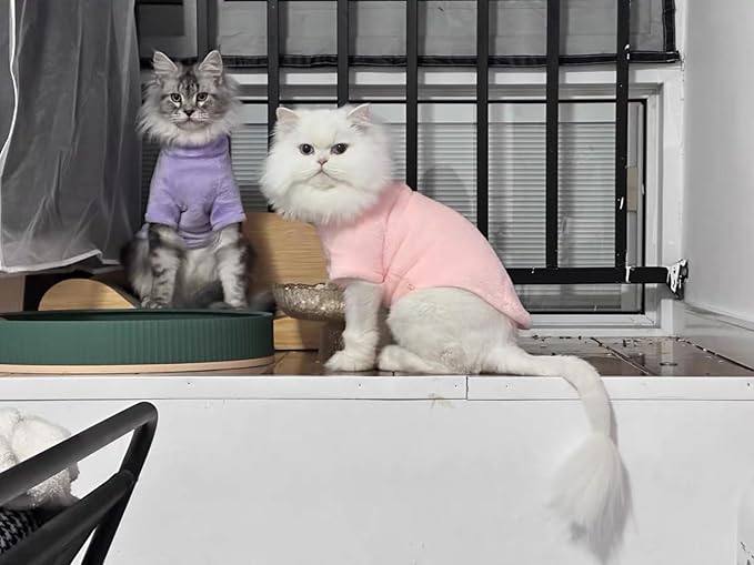 Sphynx Cat Clothes Winter Turtleneck Soft Coral Fleece Cat Clothes Thicken Warm Pajamas Coat for Hairless Cats and Small Cat Apparel with Sleeves (Light Pink, XXL（12.7-16lbs）)