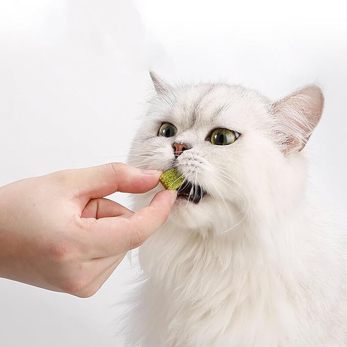 Fun and Entertaining Cat Grass Chewables Wheatgrass Perfect for Indoor Treat 50g Cat Grass Snacks Anti-Hairball Cat Grass for Indoor Cats