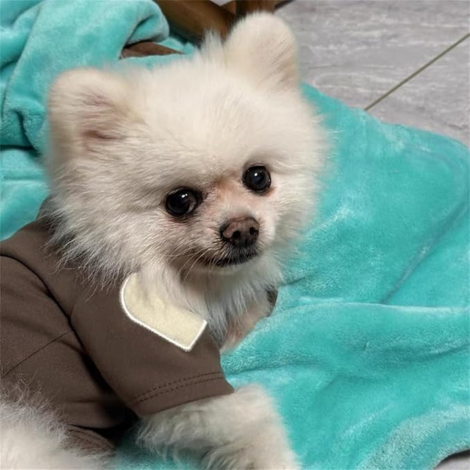 Small Dog Sweaters for Dogs Girls Boys, Heart Love Pattern Puppy Clothes, Puppy Pullover Outfit (Brown, XX-Large)