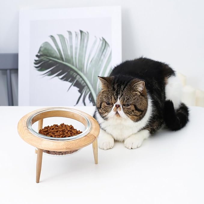 Glass Pet Bowl with Detachable Wooden Stand 14.7cm 480ml Raised Feeder for Cats and Dogs Sturdy Feeding and Watering Supplies