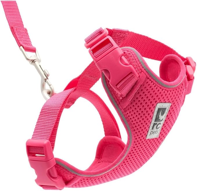 RC Pets Adventure Kitty Cat Harness | Adjustable Airmesh Vest with D-Ring and 6ft Leash for Walking and Travel | Azalea, Large