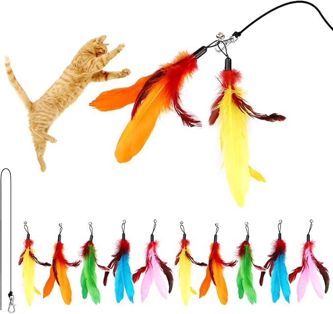 MeoHui 11PCS Cat Feather Toys Refills, 10PCS Feathers and 1PC String, Interactive Cat Wand Toy Replacement for Bored Indoor Adult Cats & Kittens