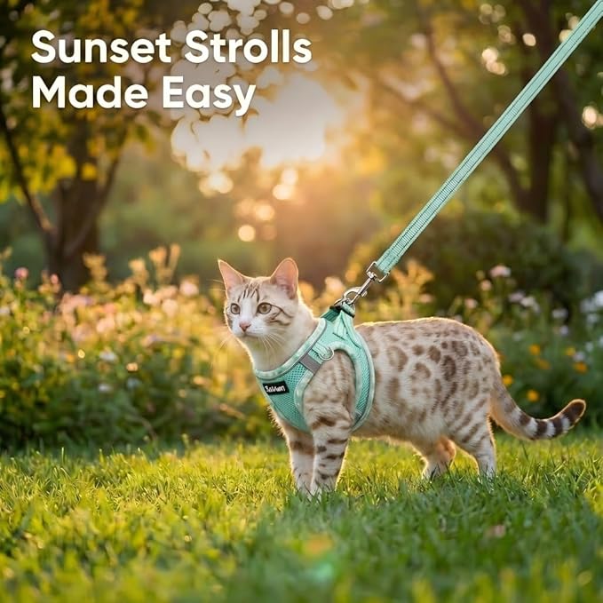 Cat Harness and Leash Set for Walking, Escape Proof Adjustable Soft Mesh Kitten Harness with Reflective Strips, Breathable No-Choke Pet Vest for Large Cats or Small Dogs(Green,L)