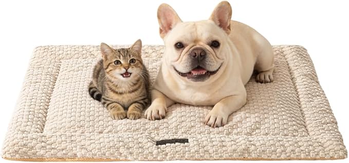 SOMAHE Cat & Dog Bed Mat, Soft Plush Flat Cat Bed with Non-Slip Bottom, 1.2" Thick All-Season Kneading Cushion, Machine Washable Pet Bed for Cats & Small Dogs 20×27Inch, Milk