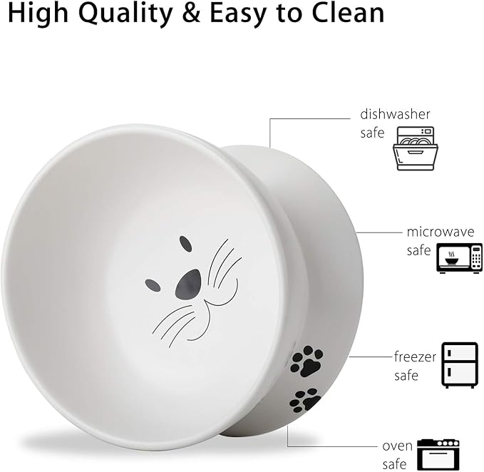 Cat Food Bowls, 10 OZ Elevated Cat Bowls for Cats and Small Dogs, Tilted Pet Feeder Bowl with Raised Stand Protect Cat's Spine, Ceramic Cat Water Bowl No-Spill, Stress Free Cat Dish 2pcs
