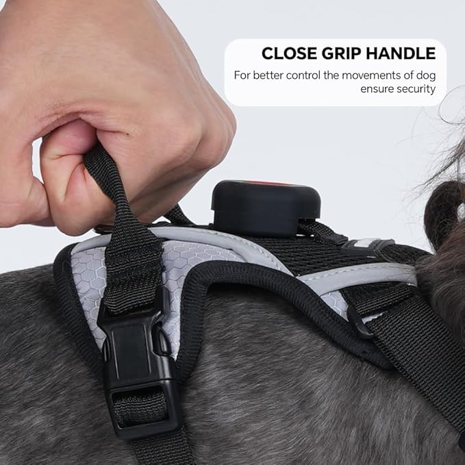 Harness Leash Set with AirTag Holder for Large Cat & Puppy, Upgraded Escape Proof Vest with Lead for Small Dog Outdoor Walking, Soft Breathable Mesh Jacket with Reflective Strip (Black, XL)