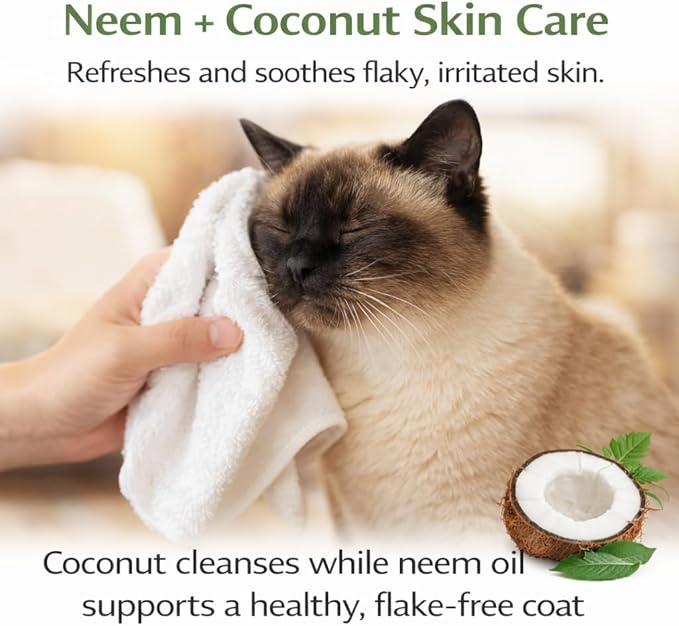 Warren London Cat Dry Shampoo Spray – 8 oz No-Rinse Waterless Cleaner with Neem & Coconut | Mild Citrus Odor Control, Dander & Itch Relief | Quick On-The-Go Grooming | Soap-Free, Made in USA