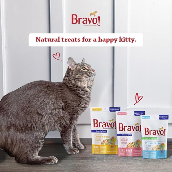 Bravo! Healthy Bites Single Ingredient Freeze Dried Raw Cat Treats, Salmon, 1 Ounce, High Protein, Grain Free, Gluten Free (Pack of 3)