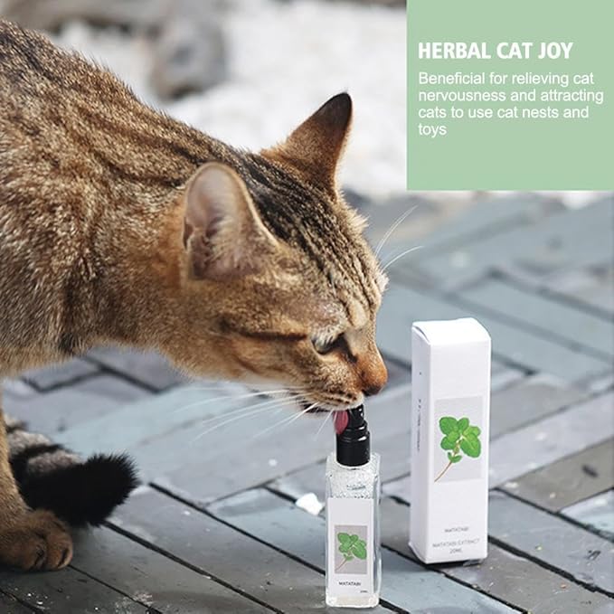 Generic Herbal Cat Joy Silvervine Spray, Kitty Joy Herbal Cat Joy Spray Matatabi, Pets Catnip Spray for Indoor Cats Stress and Anxiety Relief Spray, Cat Calming Training Spray