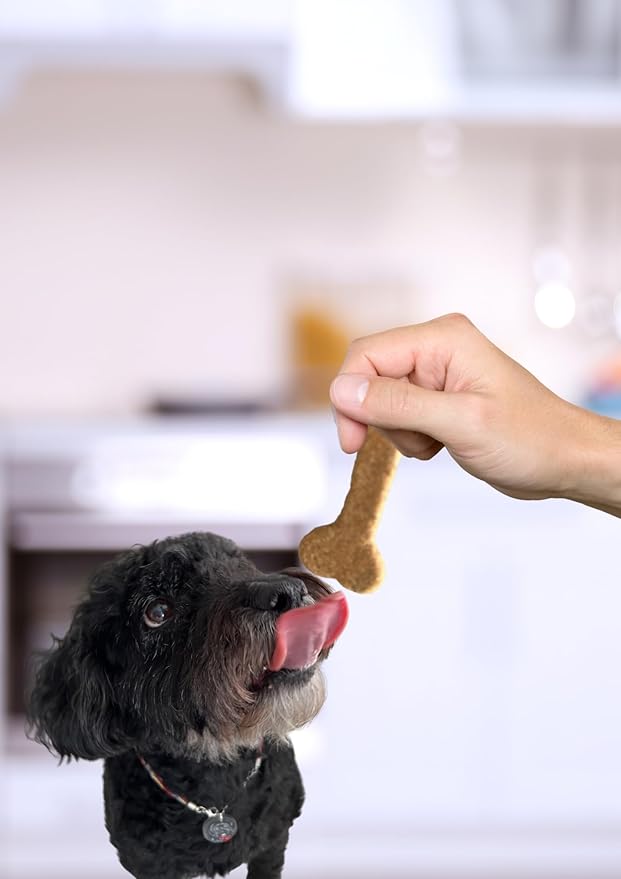 Lulu's Pet Bakery - All-Natural Pet Treats - Human Grade - Made in USA (5oz, Banana)