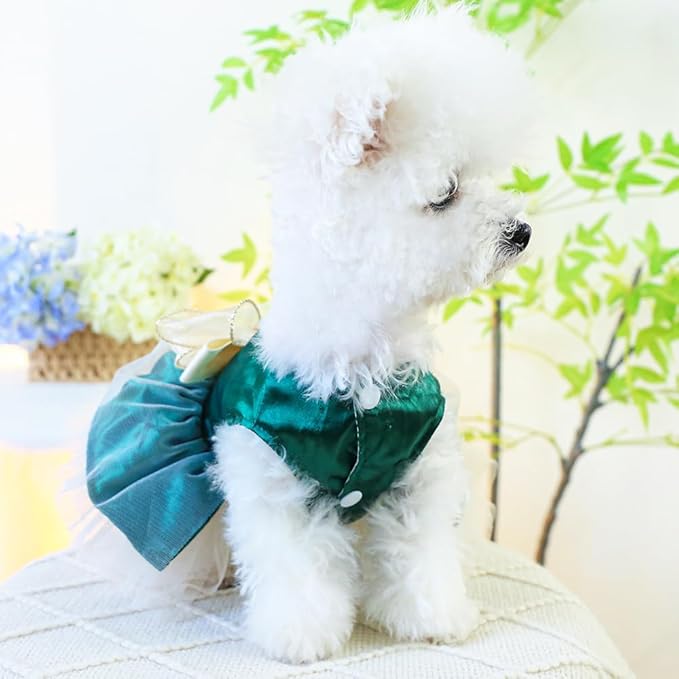 ANIAC Retro Dog Tulle Dress with Leash Ring Spring Summer Girl Puppy Clothes for Small Dog Cat Apparel Formal Pet Prom Dress for Christmas Wedding Birthday Valentines (Green,Large)