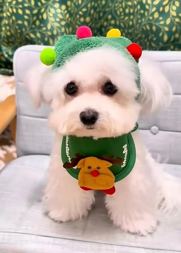 Christmas Tree Hat & Bib Set for Pets, Adjustable Dog Cat Costume with Pom-Pom for Xmas Party & Photos(S)