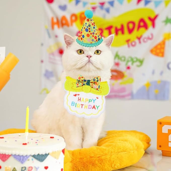 Cat Birthday Party Supplies, Girl Boy Cat Kitten Birthday Bandana Hat Numbers Decorations Outfits Set, Yellow