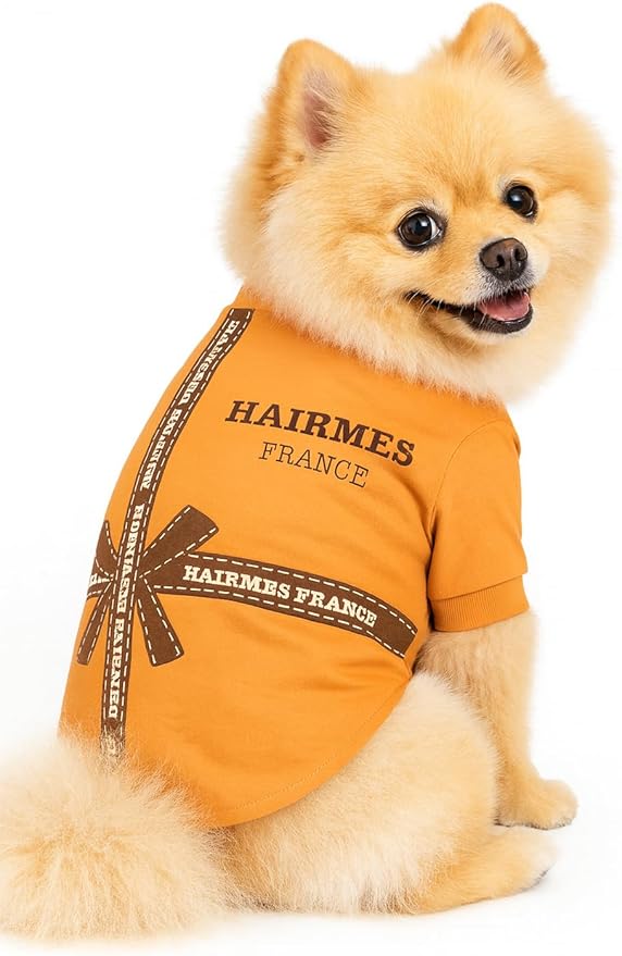 Luxury Designer Dog T Shirt – Trendy Puppy Clothes for Small Dogs, Fashion Pet Tee for French Bulldogs & Chihuahuas, Everything Chic Dog Apparel
