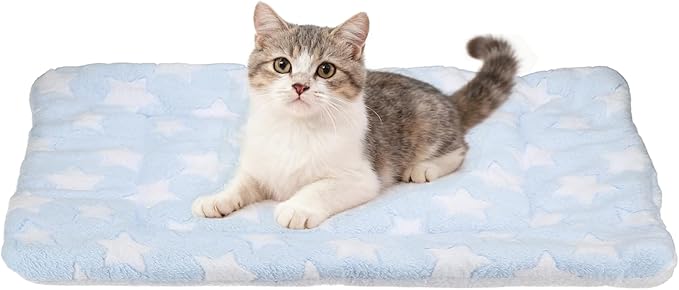 Dog Cat Bed Mat, Soft Coral Fleece Pet Cushion Pad with Cute Stars Print, Warm Washable Pet Bed 23x18 Inches, (Blue), Intended for Medium Small Dog Cat