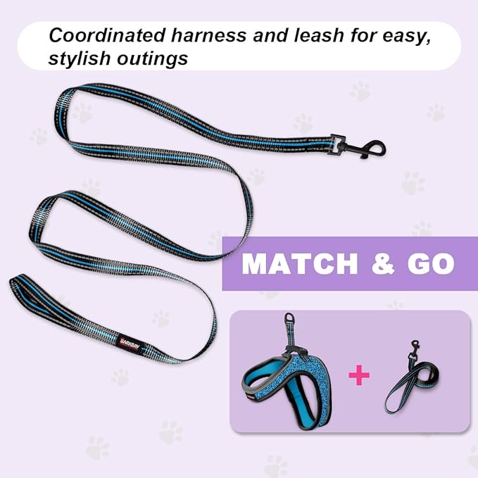 Cat Harness and Leash Set,Escape Proof Kitten Harness,Step in Adjustable Soft Lightweight,Easy Control,Reflective Strips Comfortable for Walking Travel(Blue/Black,XXXS)