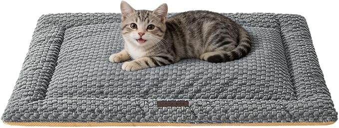 SOMAHE Cat Beds Flat Cat Bed Mat, Premium Plush Cat Mat with Non-Slip Bottom, 1.2" Thick All-Season Kneading Cushion, Machine Washable Anti-Static Pet Bed 15×23Inch, Grey