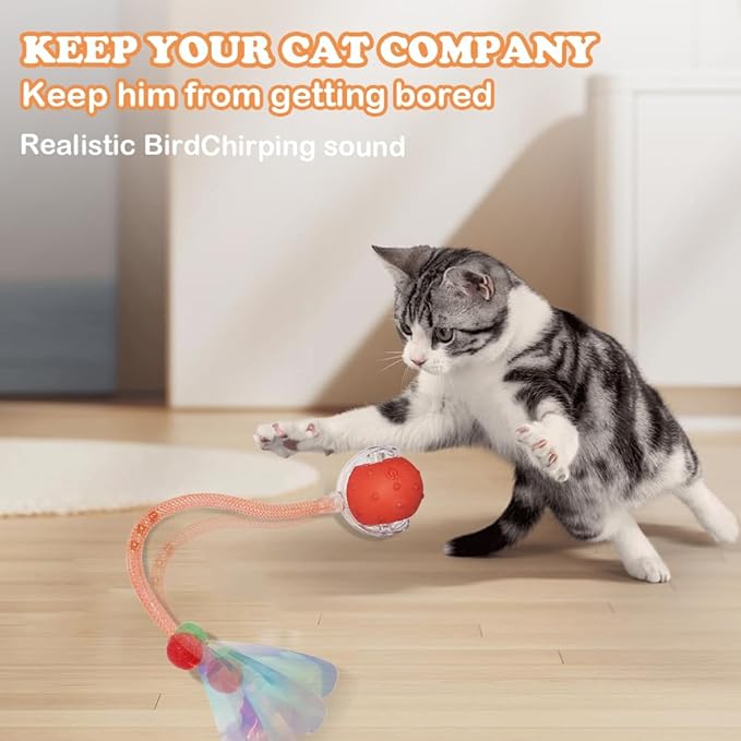 2Packs Interactive Cat Toys Ball for Indoor Cats, Smart Automatic Cat Chase Ball Toy, Generation Moving Cat Ball with Elastic Mesh Tail Motion Activated
