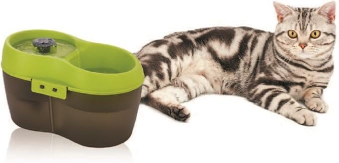 Cat H2O Filtered Cat Water Fountain 67 fl. oz/2.1 Quart with Filter & Dental Care Tablet, Lime Green/Translucent Black