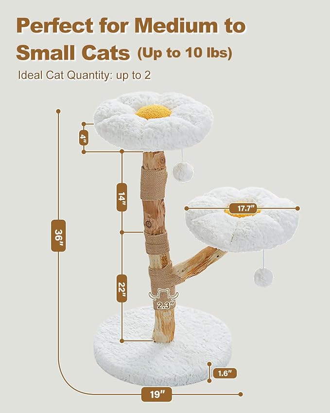 MUTTROS Wood Flower Cat Tree, Modern Cat Tower with Real Wood Branches, Luxury Boho Furniture with Scratching Post and 2 Perches, Cat Climbing Tower for Indoor Cats, Cloud White