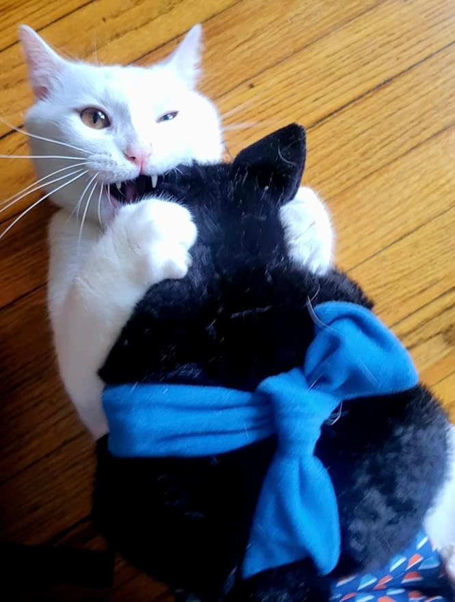 Cat Wrestling Glove Puppet – Interactive Hand Mitt with Durable Protective Sleeve and Catnip - Play & Enrichment