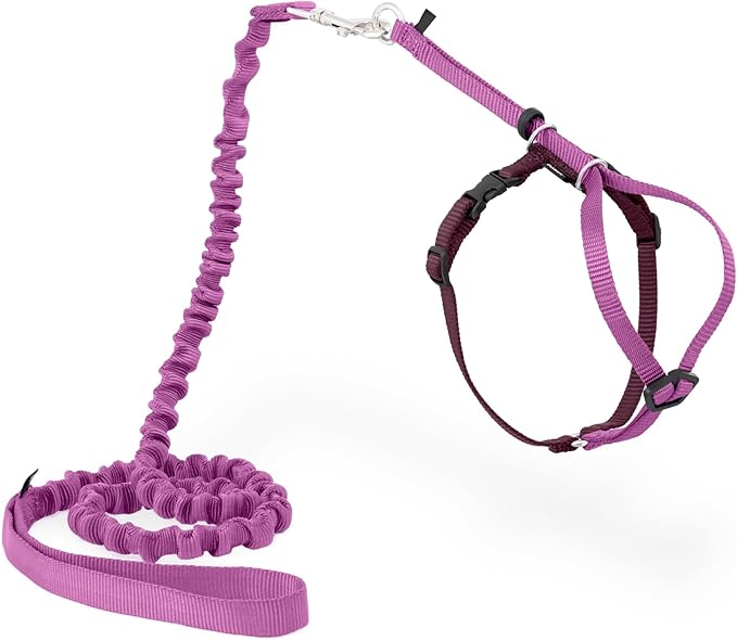 PetSafe Come with Me Kitty Harness and Bungee Leash Adjustable, Lightweight Harness for Cats Small, Dusty Rose