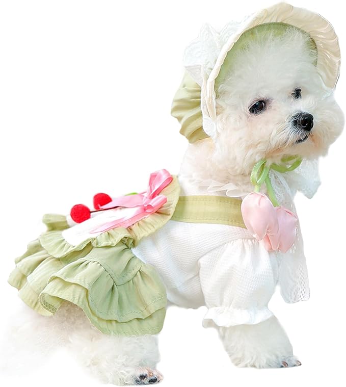 2 Pcs Pet Floral Dress and Lace Sunhat, Summer Skirt with Laces for Dog, Cute Bowknot Dresses for Cat, for Birthday Party and Outdoor Travel (Green, X-Small)