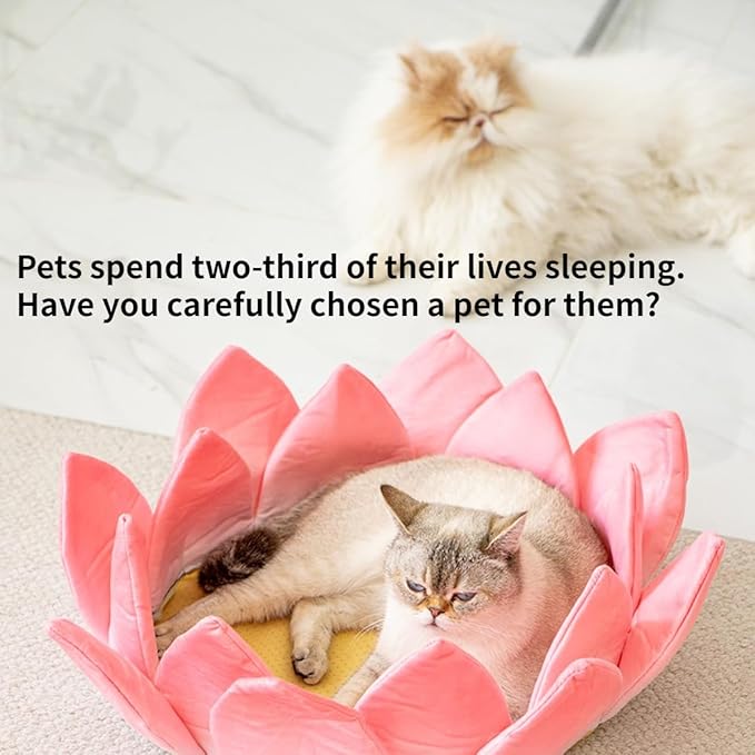 Scratching Board Toy Round Scratching Pad Anti-Scratch Post Corrugated Paper Lounge Bed Scratch Board for Boredom Interactive Toy Nest Bed Pet Supplies for Cats Furniture (Nest with Accessories)