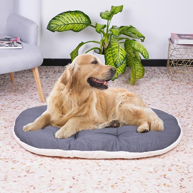 Ferplast Dog Bed Large Dog Cushion Washable Pet Mattress in Cotton with Soft Padding, 100 x 63 cm. Brown