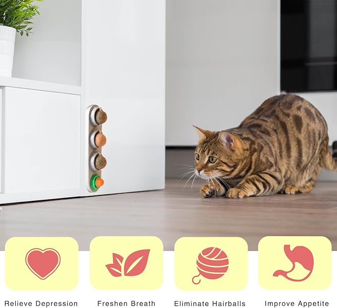 4 Pack Catnip Ball for Cats,Safe Healthy Edible Kitten Chew Toys with 4 Flavor for Cats Lick Dental Teeth Cleaning Wall Treats