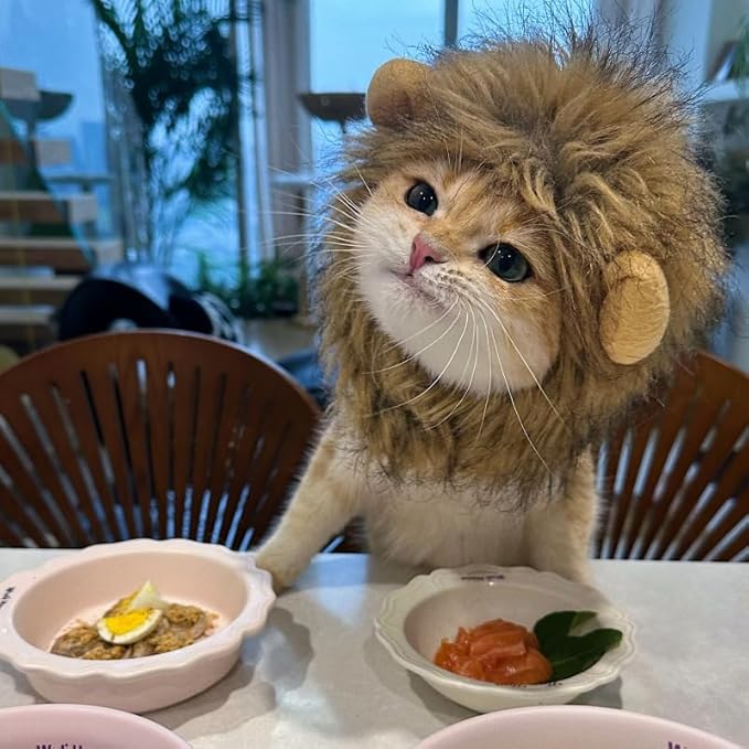 Lion Mane Costume for Cats and Small Dogs, Adjustable Washable Pet Apparel with Ears for Halloween Christmas Easter Festival Party Activity(Large)