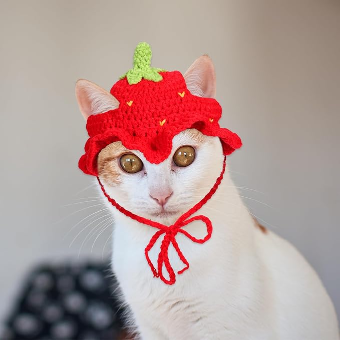 Strawberry Cat Hat, Cartoon Strawberry Design Knit Hat, Cotton & Soft Cute Knitted Hats, Funny Strawberries Dog Costume, Cute Costume Accessory for Puppy, Kitten, Small Animals, with Adjustable Cord